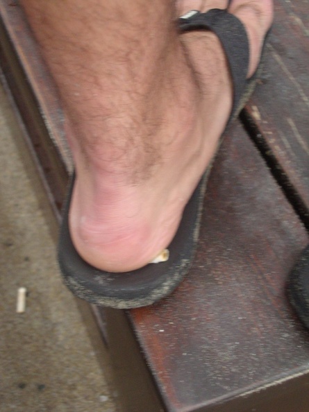 mi_ma_2011_047.jpg