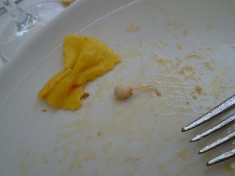 mi_ma_2011_243.jpg