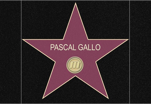 stella gallo