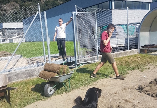 Lavoro campo (4)