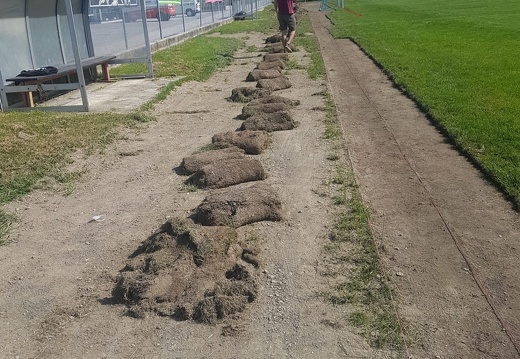 Lavoro campo (5)